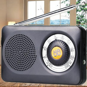 Özelleştirilebilir W-201 radyo/çift bant güçlü sinyal. Klasik radyolar için yeni bir seçim - Product Image 3