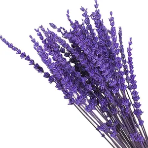 Regalo di nozze Souvenir Su Misura Stabilizzato di Fiori di Lavanda Essiccati