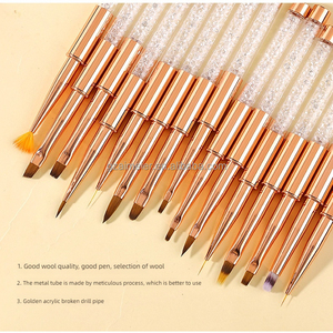 Ensemble de 14 pinceaux à ongles en nylon avec étui, pinceaux durables pour la peinture au gel, pour le nail art en salon - Product Image 1