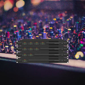 Amplificador de Potencia de Metal Clase D de Alta Fidelidad de 2 Canales, 1U, 2x350W, 4 Ohmios, 20Hz-20KHz, Económico pero de Calidad - Product Image 3