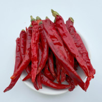 Vente en gros de piment rouge de qualité supérieure à bas prix, épices, herbes individuelles, piment de Cayenne, piment chili séché pour cuisinier