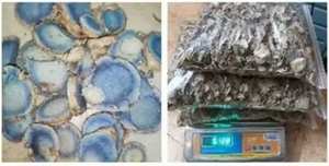 Tranches/Flocons de Curcuma Noir Super Secs, Naturels et Multi-Usages - Product Image 4