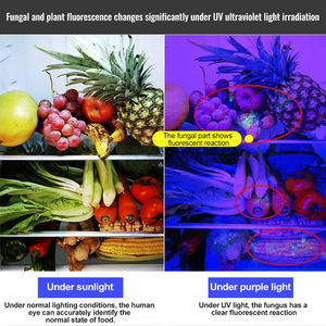 Мощный перезаряжаемый светодиодный мини-фонарик для кемпинга - Product Image 6