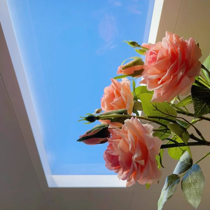 Panel de <span class=keywords><strong>Luz</strong></span> LED para Techo SUEZ App, Panel de <span class=keywords><strong>Luz</strong></span> <span class=keywords><strong>Solar</strong></span>, <span class=keywords><strong>Claraboya</strong></span> Artificial - Product Image 3