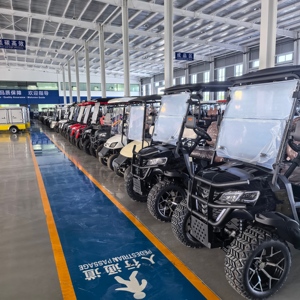 รถกอล์ฟไฟฟ้ารุ่นล่าสุดปี 2026 ได้รับการรับรองมาตรฐาน CE EEC มอเตอร์ 5KW แบตเตอรี่ลิเธียม 48V/72V พร้อมที่นั่งสำหรับเที่ยวชมสถานที่ - Product Image 5