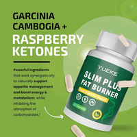 Capsules brûle-graisses au thé vert OEM, probiotiques, détoxifiantes, amincissantes, véganes, pour adultes, complément alimentaire pour stimuler le métabolisme et perdre du poids
