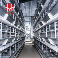 Nouvelle cage automatique de type H pour poules pondeuses, capacité 1000 oiseaux, galvanisée, avec collecte automatique des œufs, pour élevage avicole en batterie