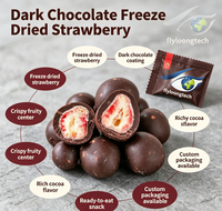 OEM & Lage MOQ Gedroogde Aardbeien Chocoladechips, Fruitchips met Donkere Chocolade Coating