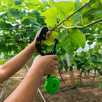 Machine à attacher les plantes agricoles OEM compatible avec le ruban standard et les agrafes 604C