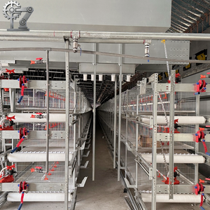 Nueva Jaula para Cría de Pollitos Tipo H, Marca HENGQI, Placa de Acero Galvanizado, Duradera, Garantía de 2 Años, Uso Comercial, Suministro Directo de Fábrica - Product Image 5
