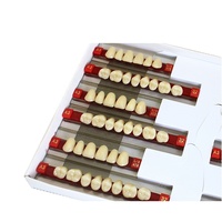 Fausses dents en résine acrylique dentaire OEM pour prothèses dentaires Dents en résine synthétique à deux couches