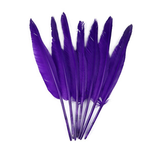 Tự Làm Bán Buôn Chùm Hot Điểm Bán Chim Màu Đen Màu Hồng Trắng Màu Xanh Lễ Hội Giá Rẻ Cánh Lông Ngỗng Lông Để Bán - Product Image 6