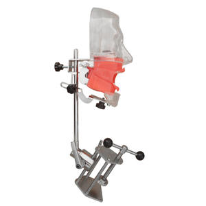 Semplice testa fantasma dentale per la pratica per la scienza medica <span class=keywords><strong>educazione</strong></span> <span class=keywords><strong>e</strong></span> <span class=keywords><strong>formazione</strong></span> odontoiatrica strumento <span class=keywords><strong>di</strong></span> insegnamento - Product Image 3