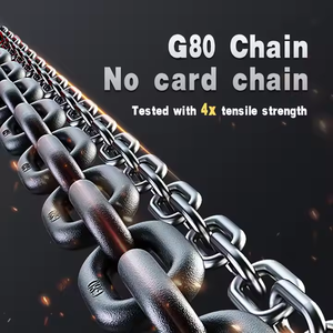 Tay hoạt động cẩu thiết bị Hướng dẫn sử dụng <span class=keywords><strong>LEVER</strong></span> hoist 250kg chuỗi khối nâng lên - Product Image 5