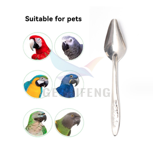 Cuchara de alimentación de acero inoxidable <span class=keywords><strong>para</strong></span> mascotas, bebé, pájaro, leche en polvo, cucharas de alimentación de <span class=keywords><strong>agua</strong></span> - Product Image 6