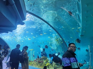 2021新しいデザイン水族館水槽水草造園ボトムフィルターカスタムホーム水槽キャビネットホワイトスペースアクセサリー - Product Image 6