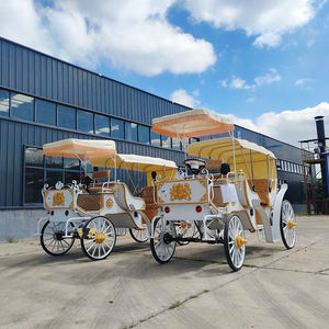 Charrette Électrique Certifiée CE pour le Transport en Parc, Chariot de Luxe à Double Rangée pour Visites Touristiques Européennes à Vendre - Product Image 4