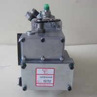 Conjunto de Bomba de Aceite de Alta Presión 4938972 5290005 10401014099 para Bomba de Inyección de Combustible 4BT 4BTA3.9-G2 BYC 5262669