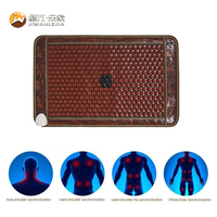 Jiwan Lejia Vente en gros de coussin de massage thermique personnalisé en pierre de tourmaline chauffée pour les spas et centres de bien-être professionnels