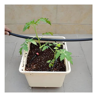 Petit système hydroponique agricole de qualité alimentaire pour la plantation de tomates et de poivrons Méthode hollandaise du baril