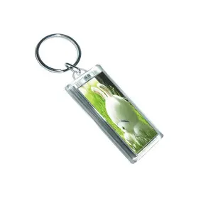 LINLI Wholesale Custom Promotion Cartoon Pattern Solar Power Flashing LCD Keychain With Logo