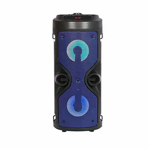 OEM Professional Portable Party Boombox Wireless Dj Karaoke Player S Subwoofer Dj Karaoke Speaker With Double Microphone