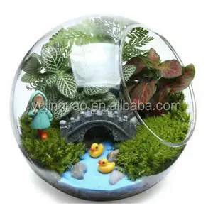 Toptan teraryum topu küre-Ev dekoratif el üflemeli temizle cam küre teraryum masa üstü hava bitki ekran düz alt küre