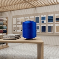 Filament de polyester texturé haute ténacité WELONG 100 %, 300/576 DTY S/Z Twist, respectueux de l'environnement, teint en masse, recyclable