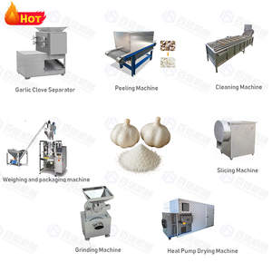 Fornecimento Fábrica Linha Produção Pó Alho Equipamento Processamento Alho Linha Processamento Pó Alho - Product Image 6