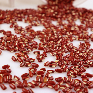 Đậu đỏ tự nhiên chất lượng cao Chi Xiao Dou, đậu đỏ Vigna, đậu đỏ Phaseolus Calcaratus - Product Image 2