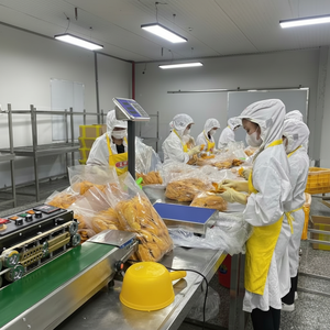 มะม่วงอบแห้งเนื้อนิ่มระดับพรีเมี่ยมจากเวียดนาม - Product Image 1