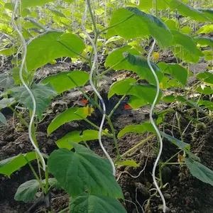 1,8 m Metal galvanizado crecimiento espiral tomate soporte verduras planta trepadora soporte