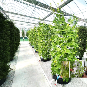 Système de <span class=keywords><strong>kit</strong></span> de culture hydroponique d'intérieur peu encombrant - Product Image 4