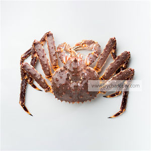 박물관 전시 및 해양 동물 전시를위한 프리미엄 품질 현실적인 알래스카 킹 크랩 모델 - Product Image 1