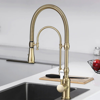 Robinet de cuisine européen tout en cuivre, doré et noir, multifonctionnel, avec douchette à ressort pour eau chaude et froide