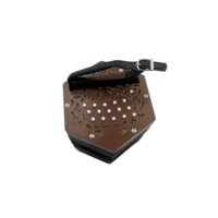 SEASOUND OEM Concertina Diatonique Professionnelle JBC30 à 30 Boutons, Instrument en Placage de Bois de Haute Qualité, Prix Abordable