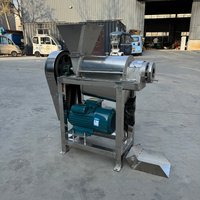 Commerciële sapcentrifuge voor ananas, mango, bosbes en druiven