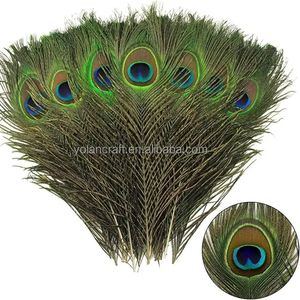 Plumas de Cola de Pavo Real Naturales al por Mayor, 50-120 cm, de Alta Calidad, para Bodas, Carnavales, Festivales, Disfraces, Decoración del Hogar y Manualidades - Product Image 2