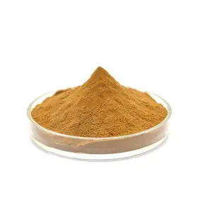 Wholesale Pure Natural Prepared Rehmannia Glutinosa PE Root Extract Powder