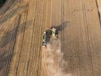 Machines agricoles de marque célèbre en Chine 4 rangées moissonneuse-batteuse de riz 4LZT-4.0ZD
