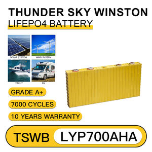 Lifepo4 700AH TSWB-LYP700AHA สำหรับ<span class=keywords><strong>รถ</strong></span><span class=keywords><strong>เข็น</strong></span>กอล์ฟไฟฟ้าสายฟ้าฟู่บนท้องฟ้าวินสตันพลังงานหมุนเวียนความจุสูง - Product Image 3