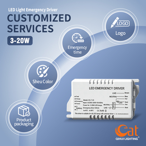 Controlador LED de Emergencia de Alta Calidad OEM Personalizado, IP30, 20W, para Panel de Luz de Energía en la Oscuridad - Product Image 3