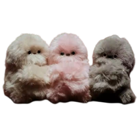 CBYD Peluche hibou électrique à bas prix, parlante, chantante, à tête oscillante, adorable, breloque de sac, porte-clés, robot pour filles