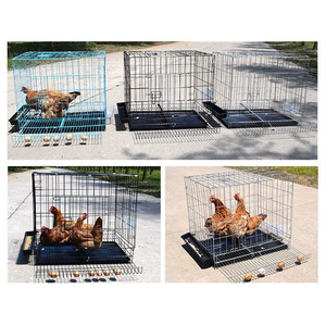 <span class=keywords><strong>Poulailler</strong></span> extérieur portable en métal pliable-Rouleau d'oeufs automatique incliné à <span class=keywords><strong>15</strong></span> ° 60x42x53cm/70x50x62cm <span class=keywords><strong>Poulailler</strong></span> galvanisé pour <span class=keywords><strong>poules</strong></span> pondeuses - Product Image 4