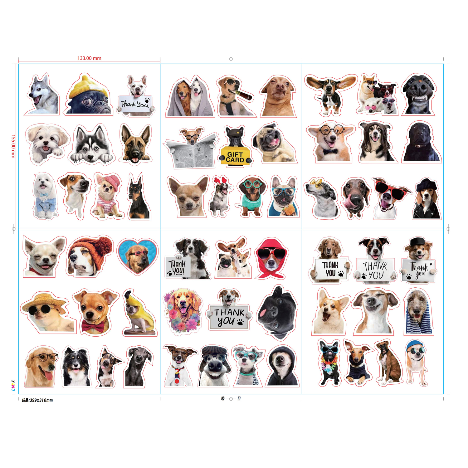 Chien