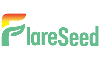 Guangzhou FlareSeed Digital Technology Co., LTD. logo