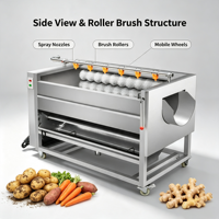 Machine à laver à brosse à jet d'eau haute pression qui élimine efficacement la boue des surfaces des gingembre et des pommes de terre