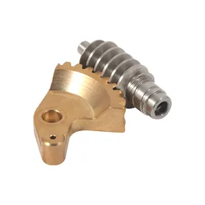 Small Mini Brass Aluminum Alloy Stainless Steel Worm Wheel Worm Gears For Food Machinery