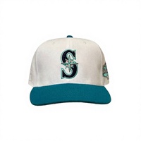 Groothandel op maat gemaakte 100% katoenen gestreepte oranje zwarte baseball caps met puffprint luipaard fruit unisex verstelbaar vier seizoenen