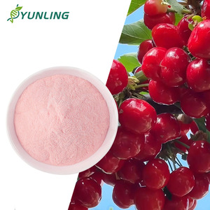 The Manufacturer Supplies Organic-certified Acid Egg Cherry Fruit Extract Powder Containing Melatonin. - Product Image 1
